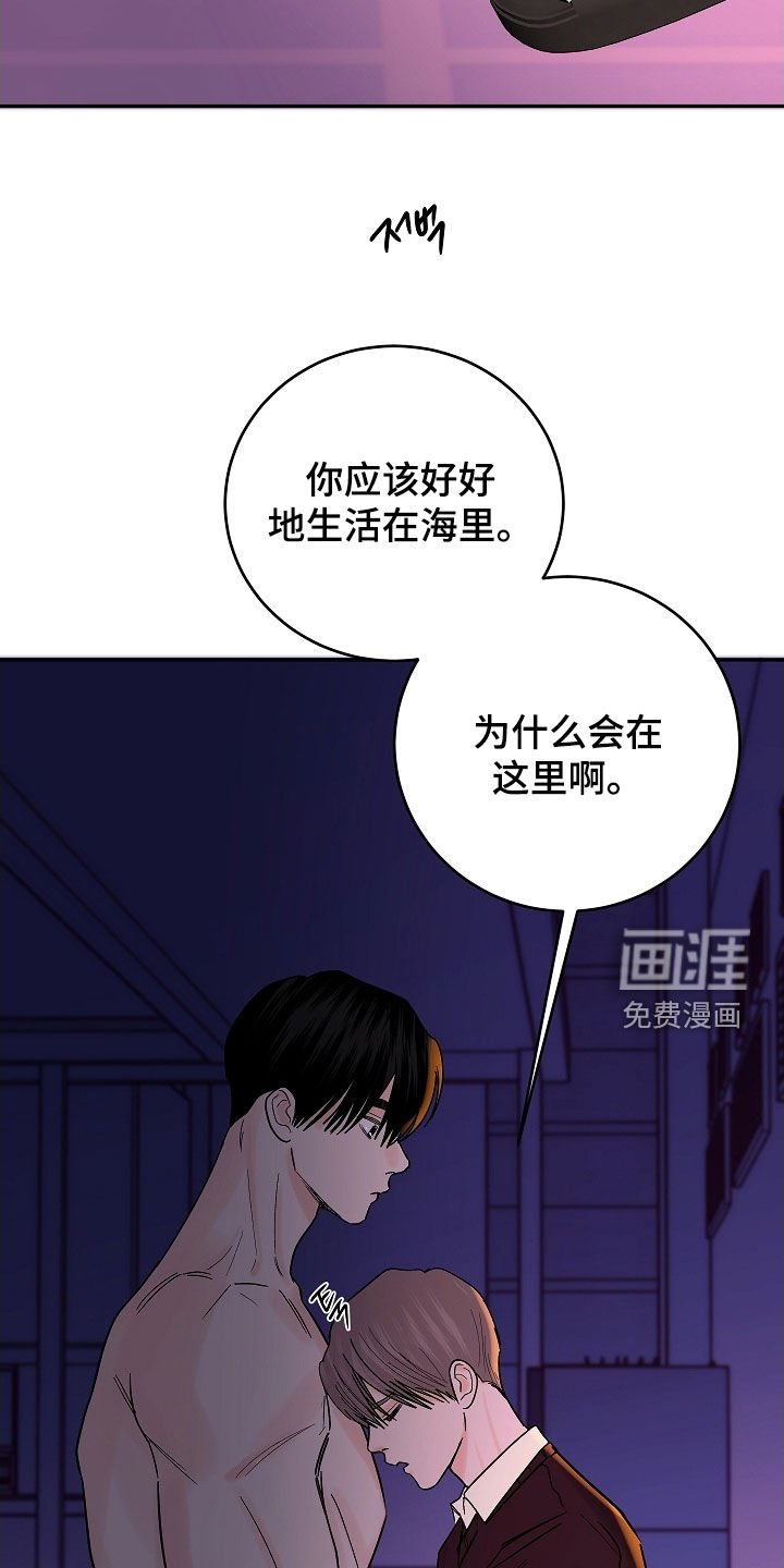 第65章：你还记得我