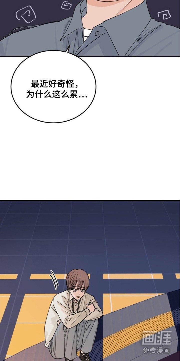 第7章：每天都来