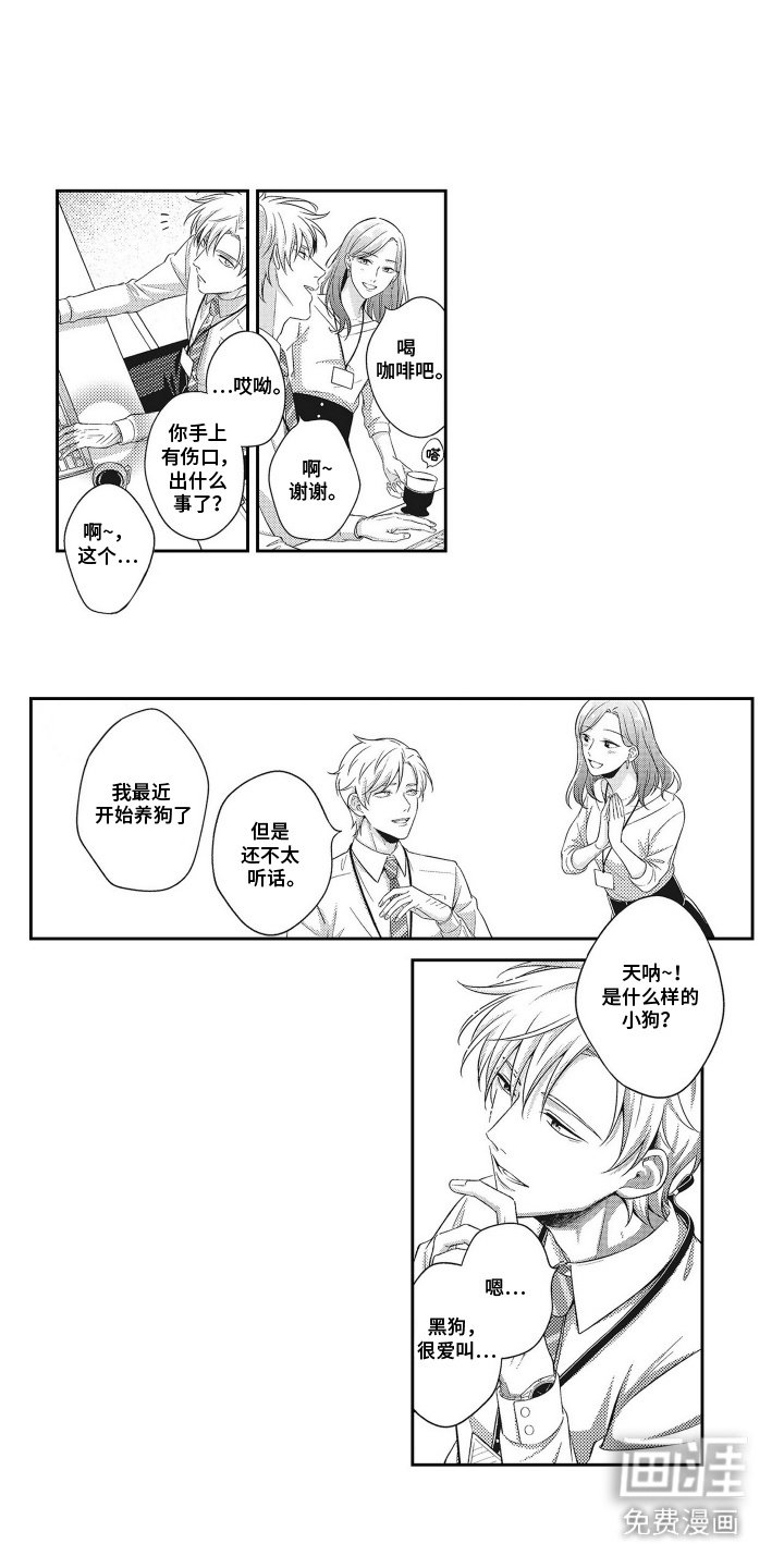 第4章：宠物