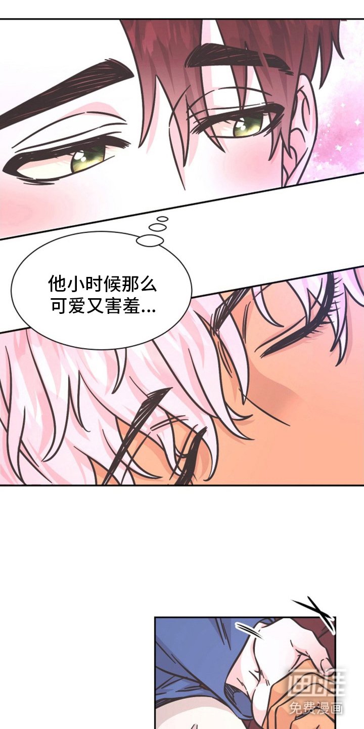 第13章：奖励