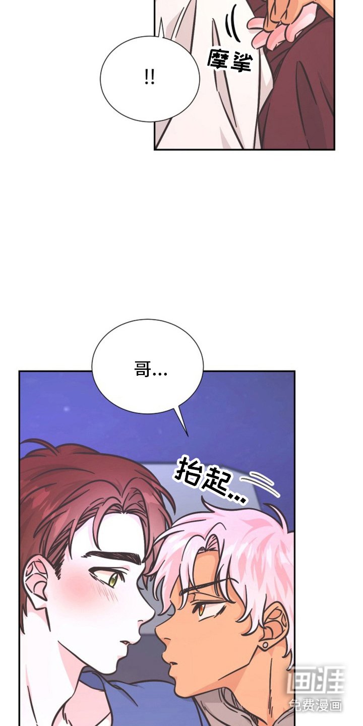 第13章：奖励