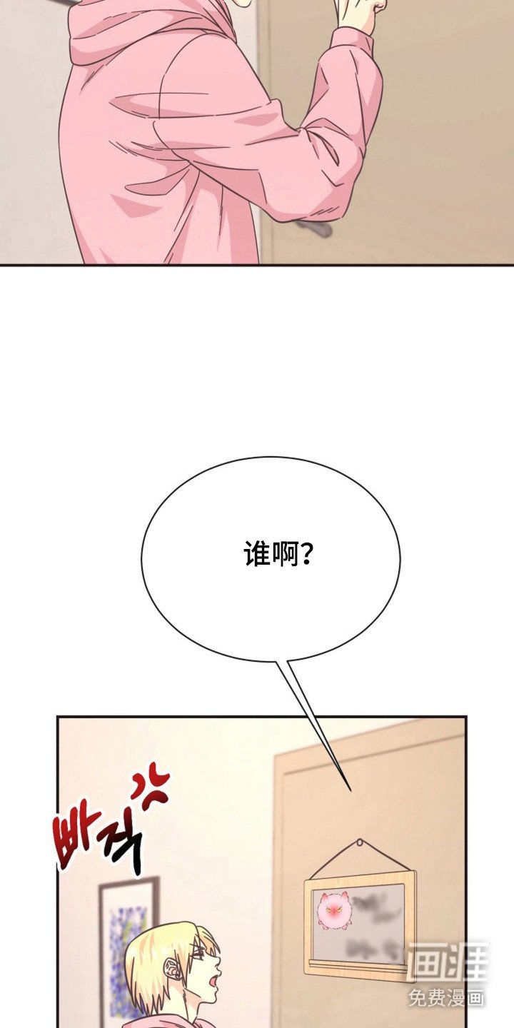 第23章：哥的义务