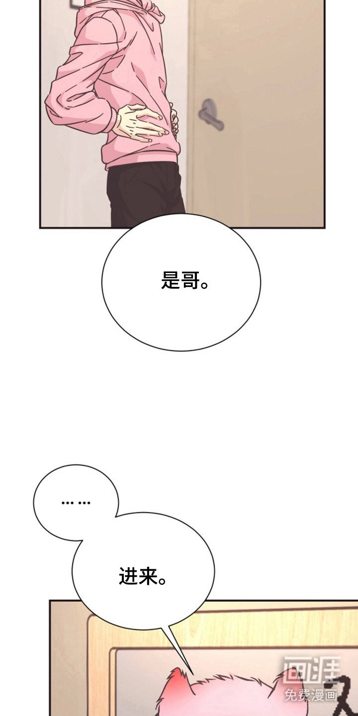 第23章：哥的义务