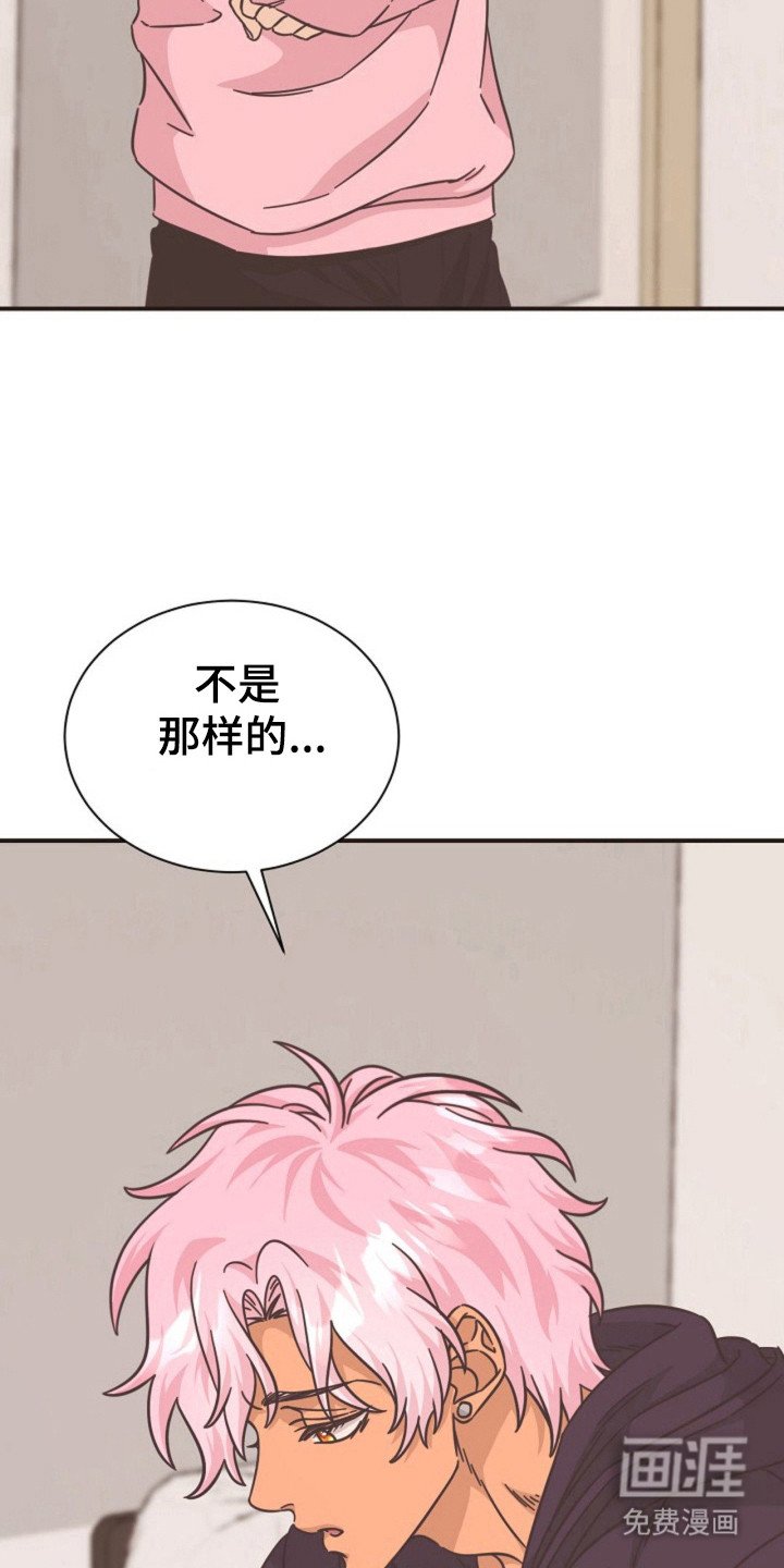 第23章：哥的义务