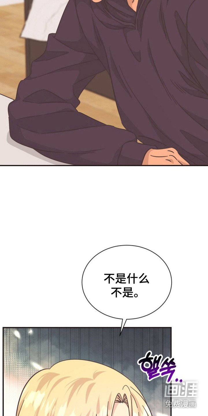 第23章：哥的义务