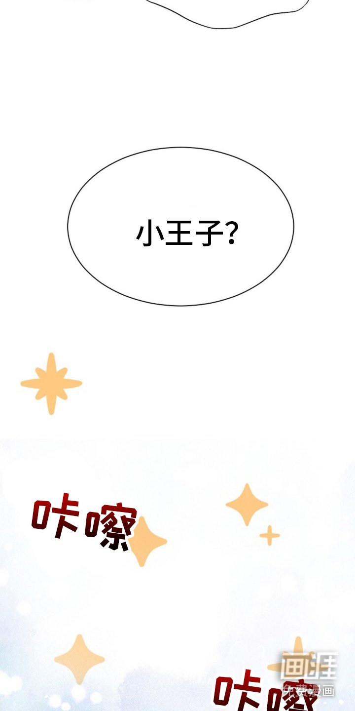 第3章：小王子