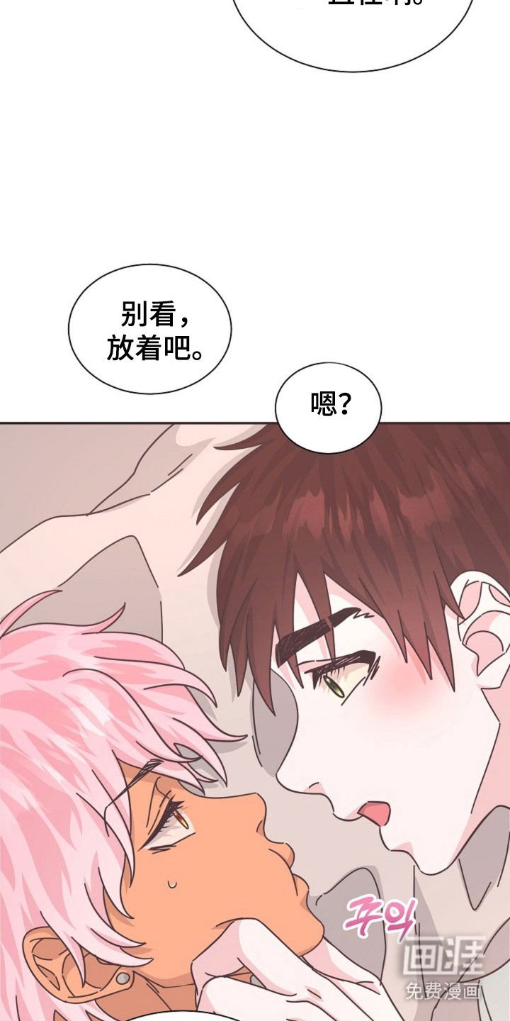 第40章：这种机会