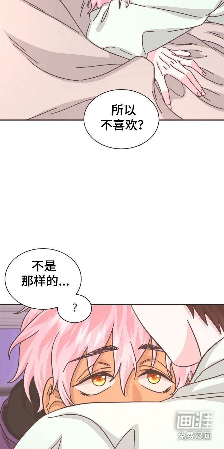 第40章：这种机会