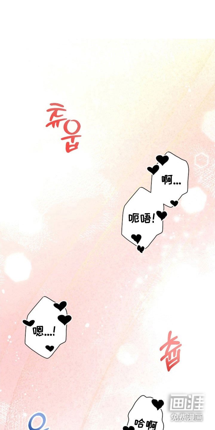 第41章：因为我吗