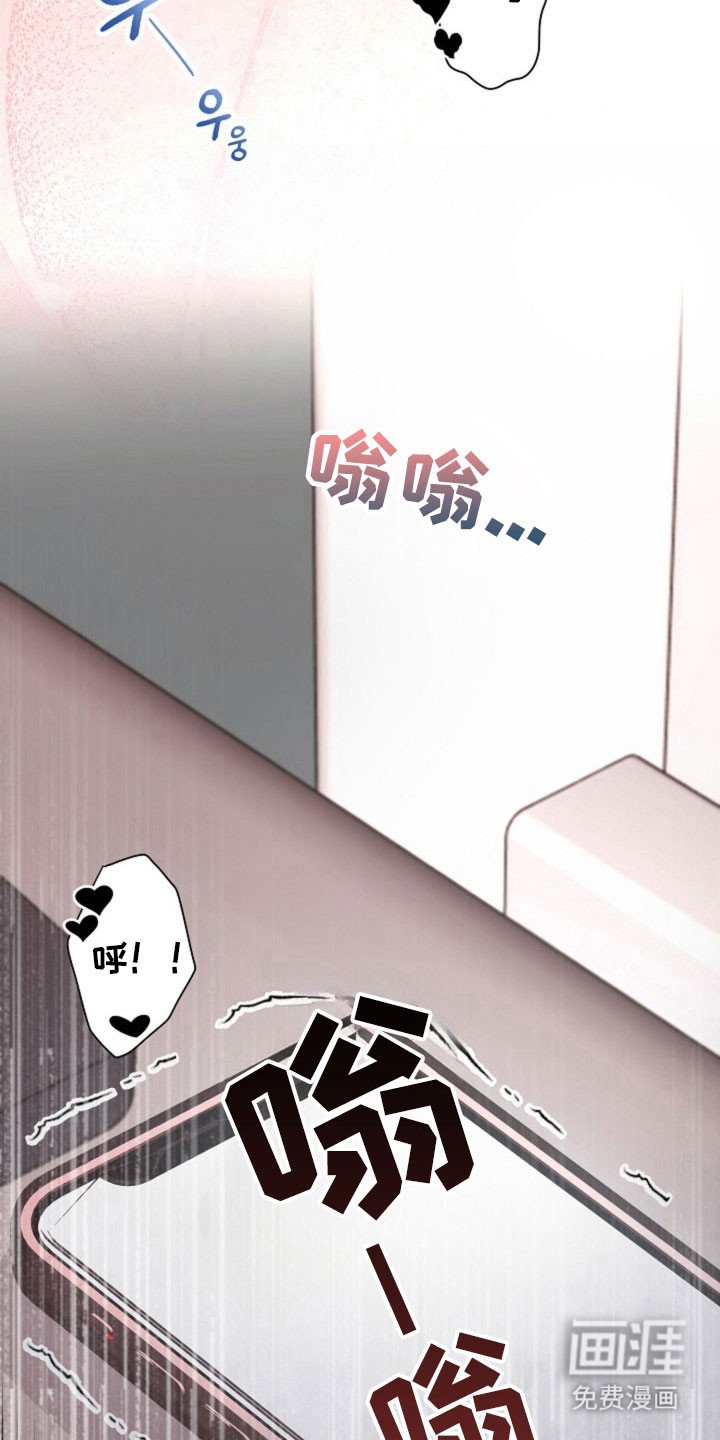 第41章：因为我吗