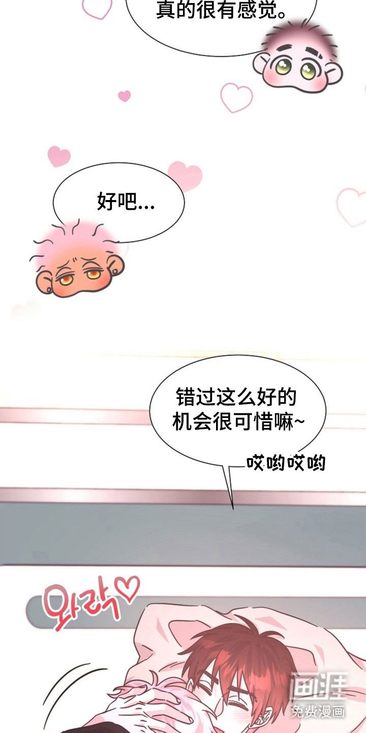 第41章：因为我吗
