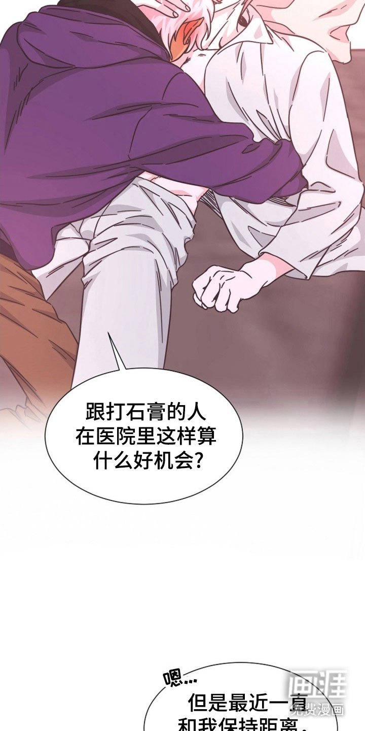 第41章：因为我吗