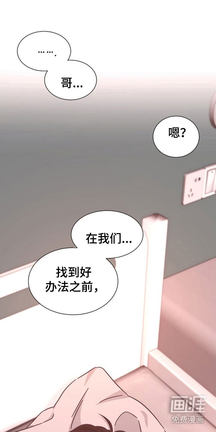 第41章：因为我吗