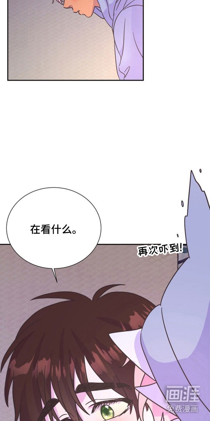 第46章：命运