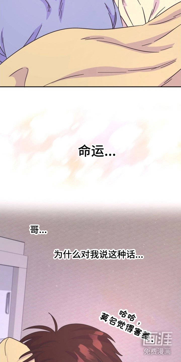 第46章：命运