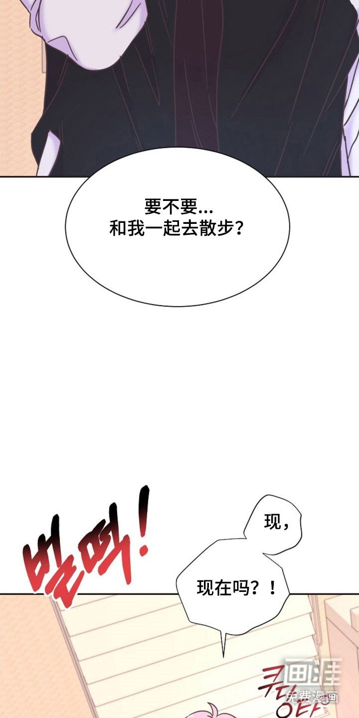 第48章：确认清单