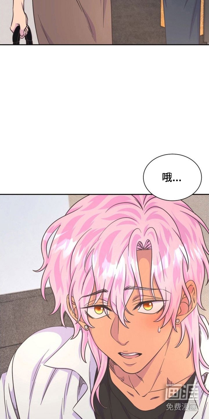 第56章：家庭聚会