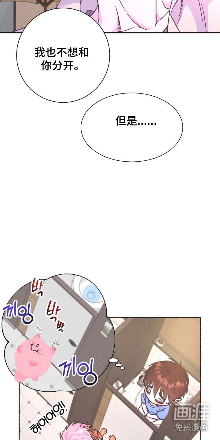 第61章：消息火热