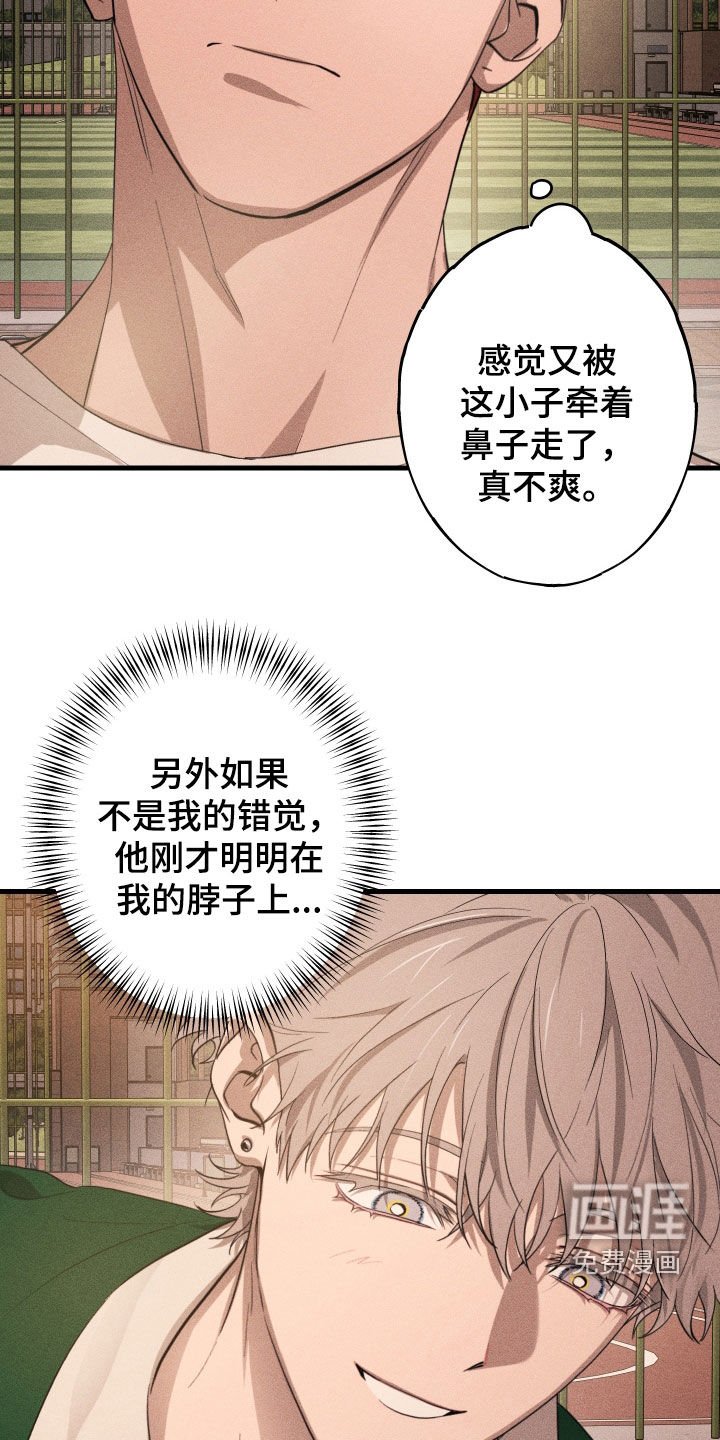 第11章：游戏