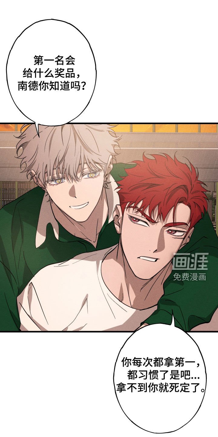 第12章：石头照片