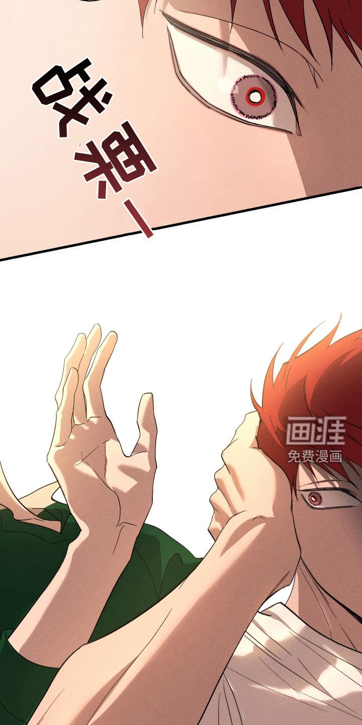 第12章：石头照片