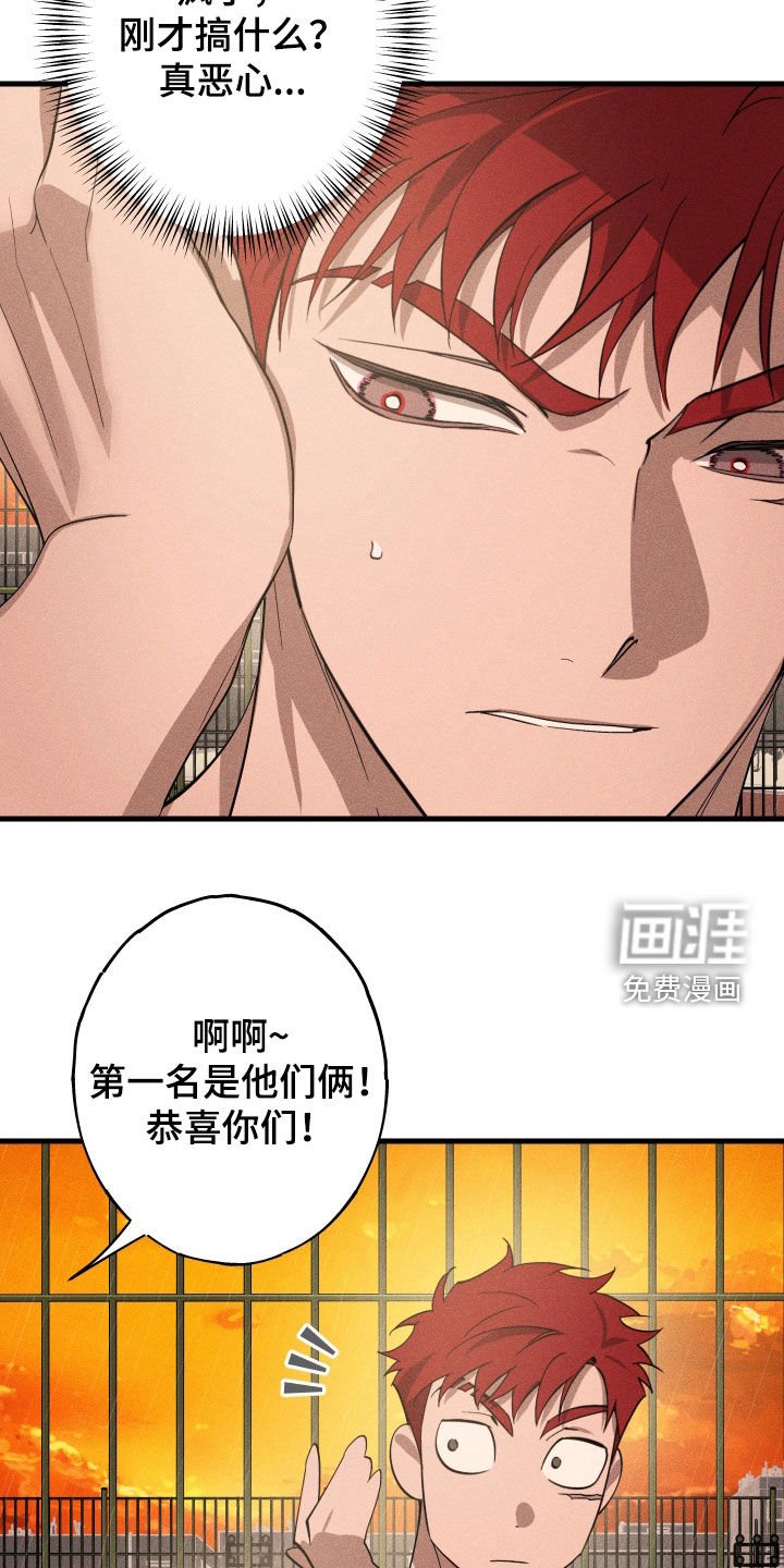 第12章：石头照片