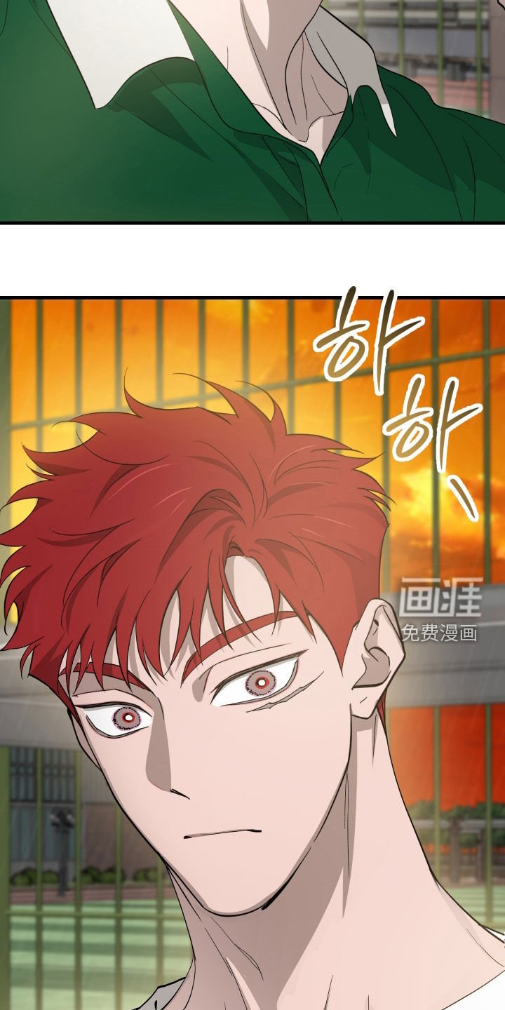 第12章：石头照片