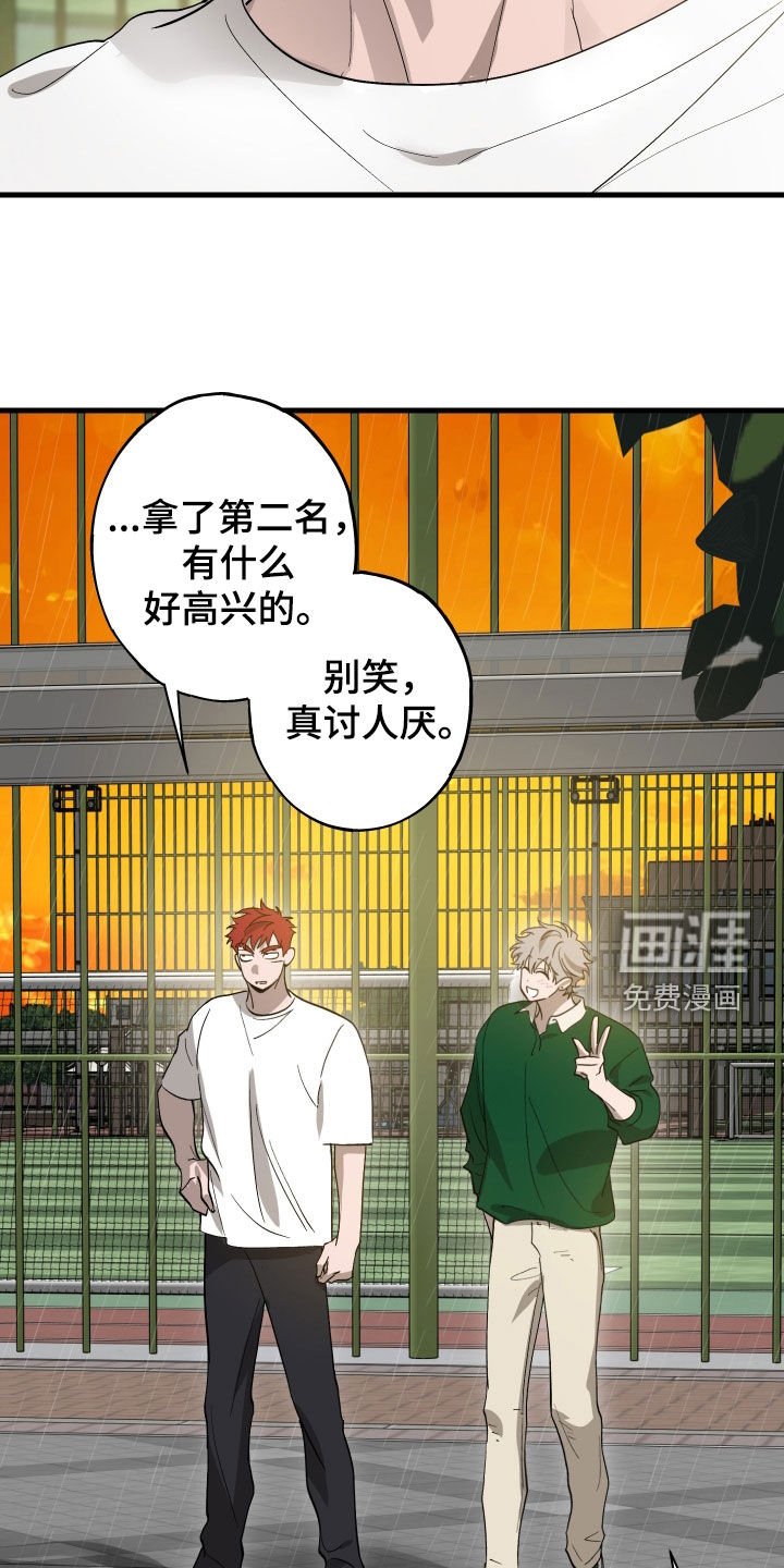 第12章：石头照片