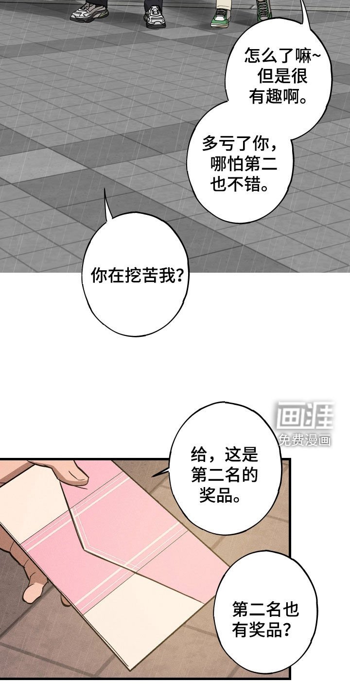 第12章：石头照片