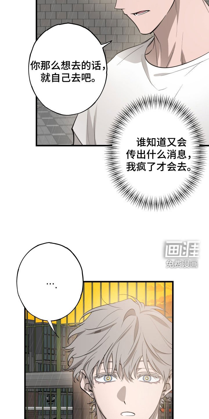 第12章：石头照片