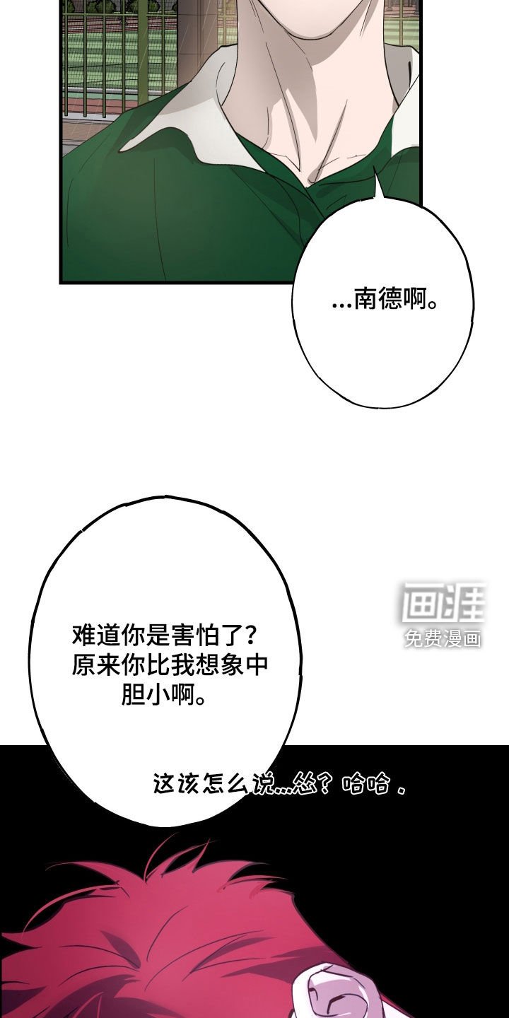 第12章：石头照片