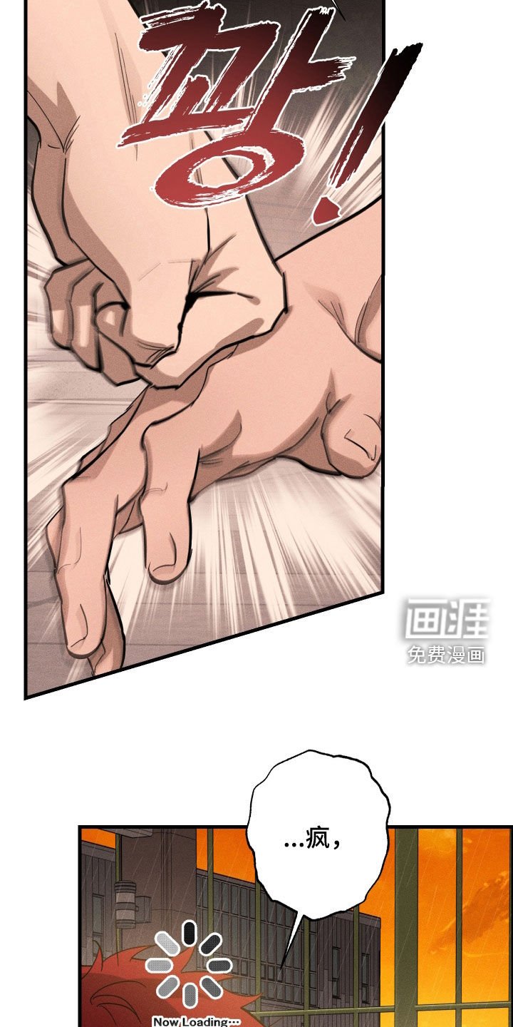 第12章：石头照片