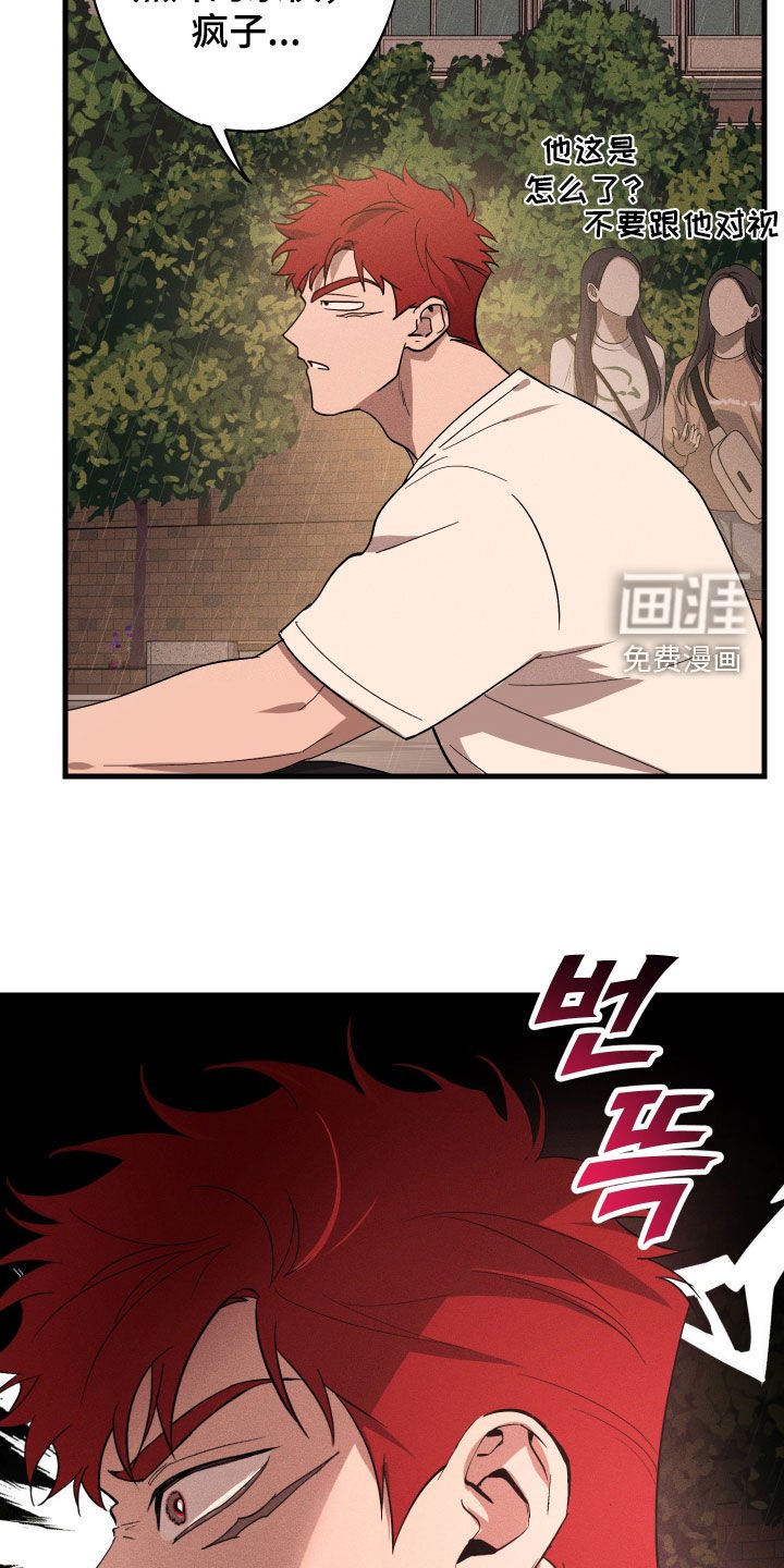 第12章：石头照片
