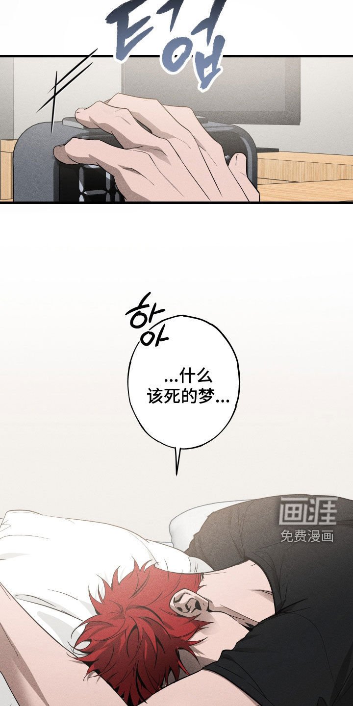 第13章：游乐园