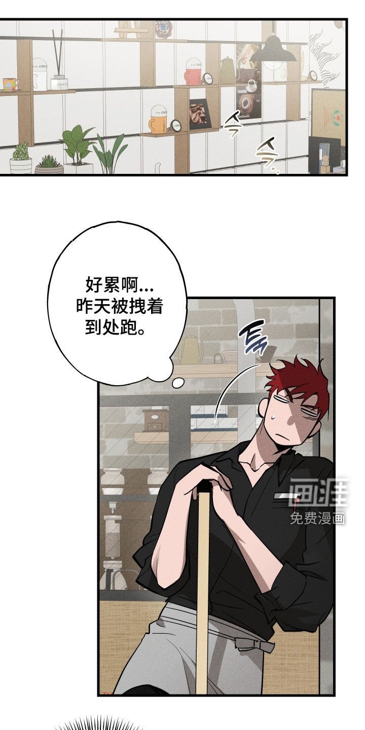 第15章：是爱情啊