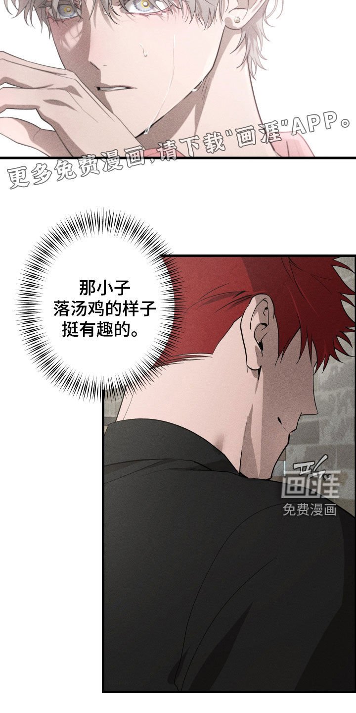 第15章：是爱情啊