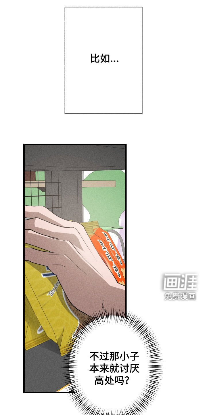 第15章：是爱情啊