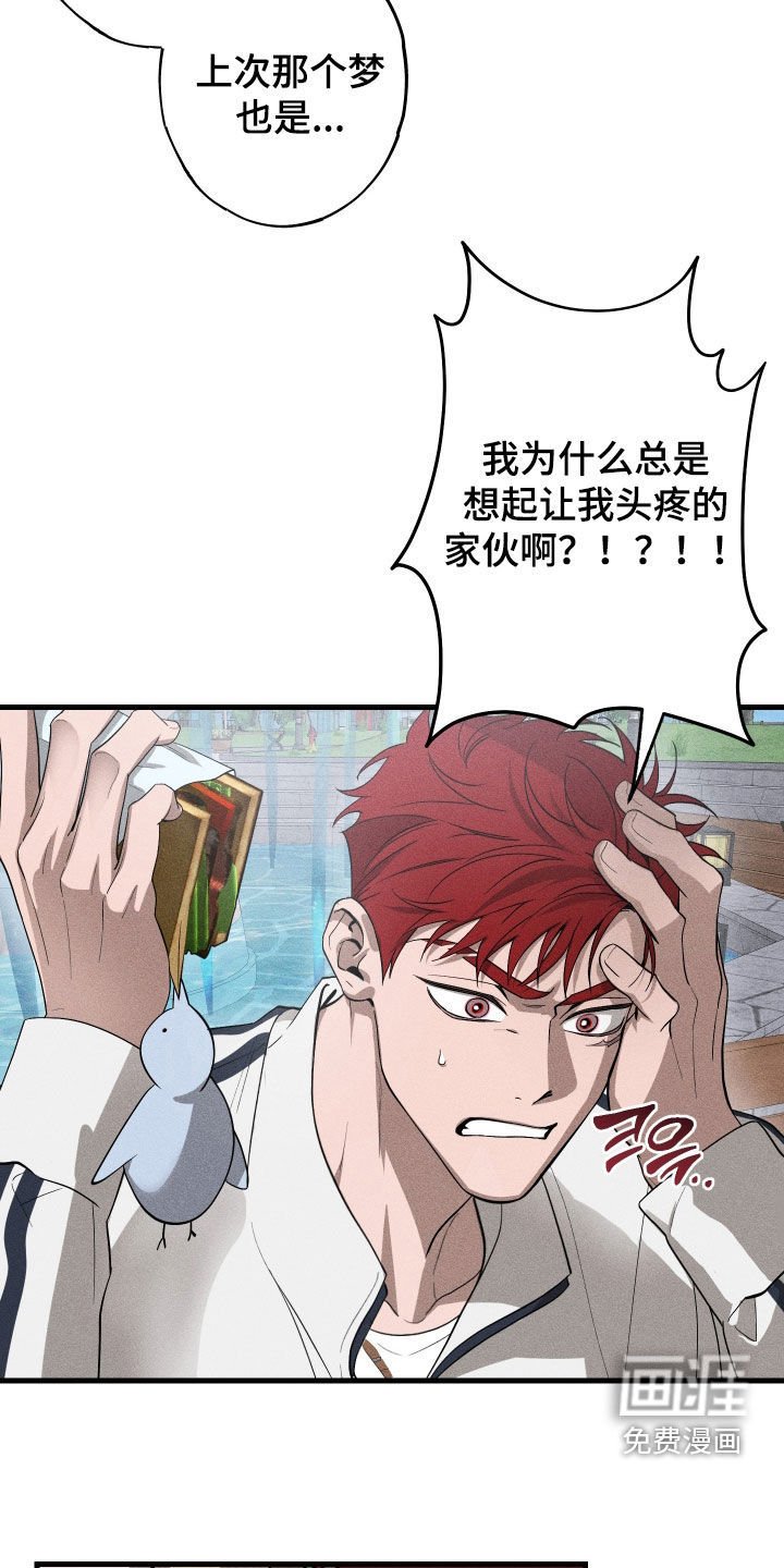 第15章：是爱情啊