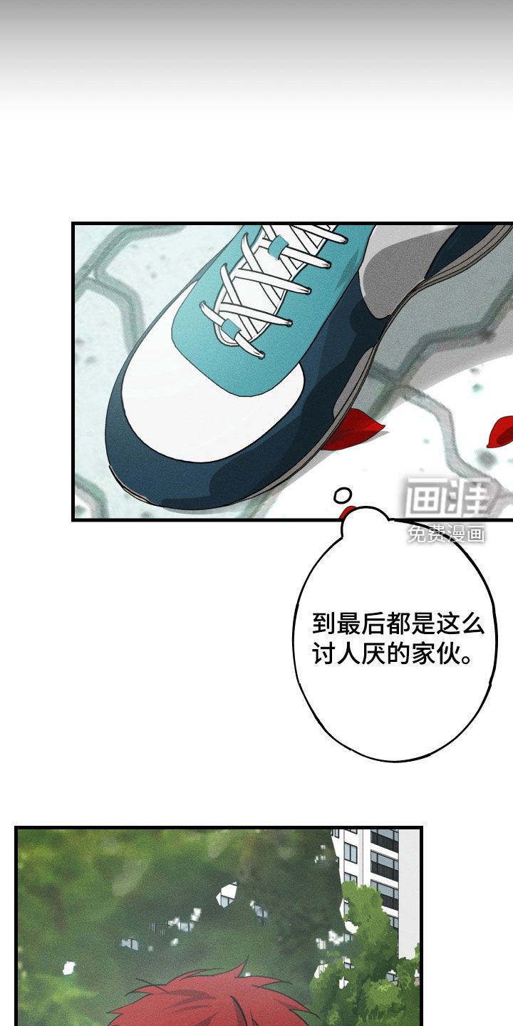第17章：毕业