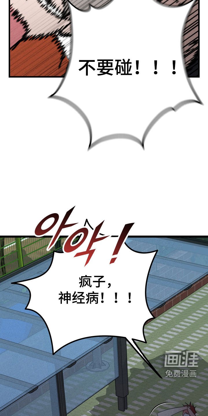 第18章：不要碰