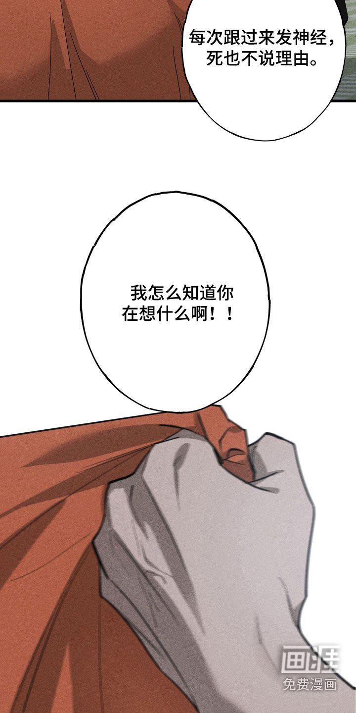 第19章：万年老二
