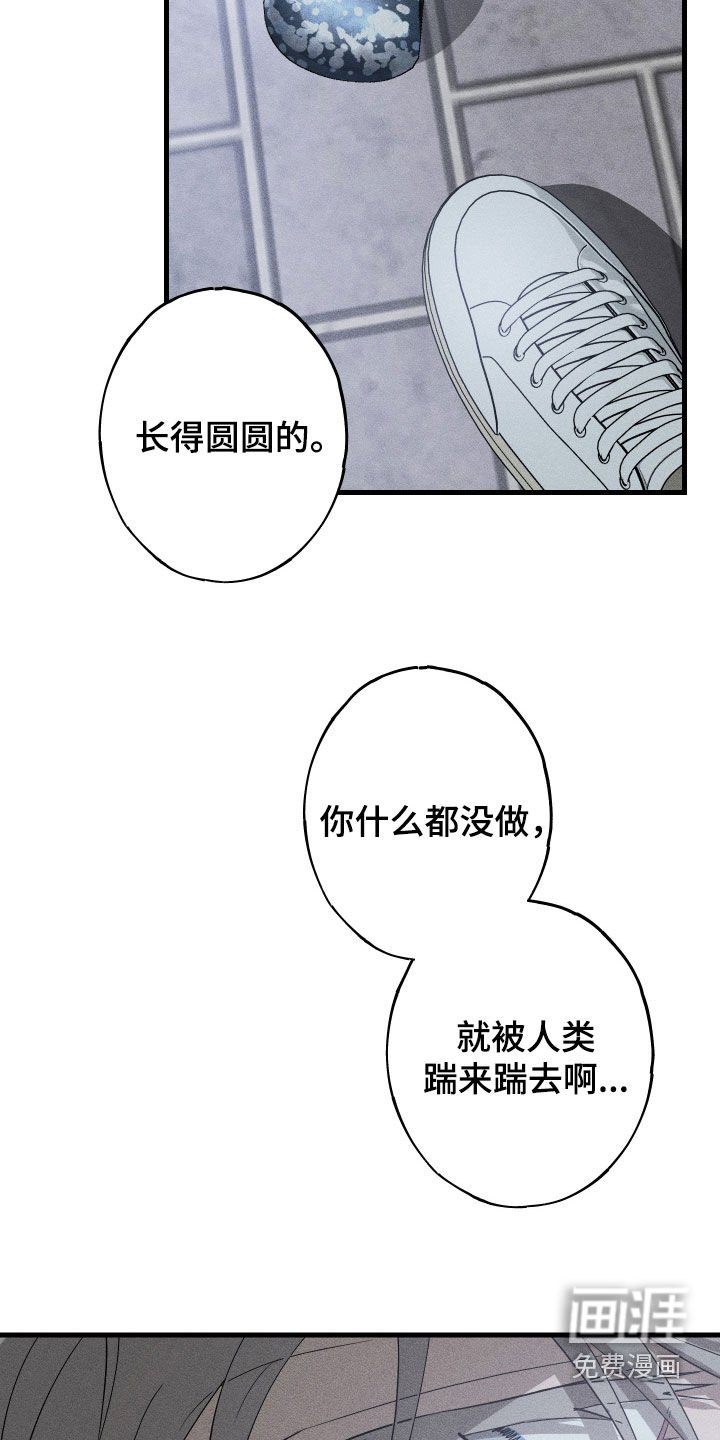 第20章：毁掉你的生活