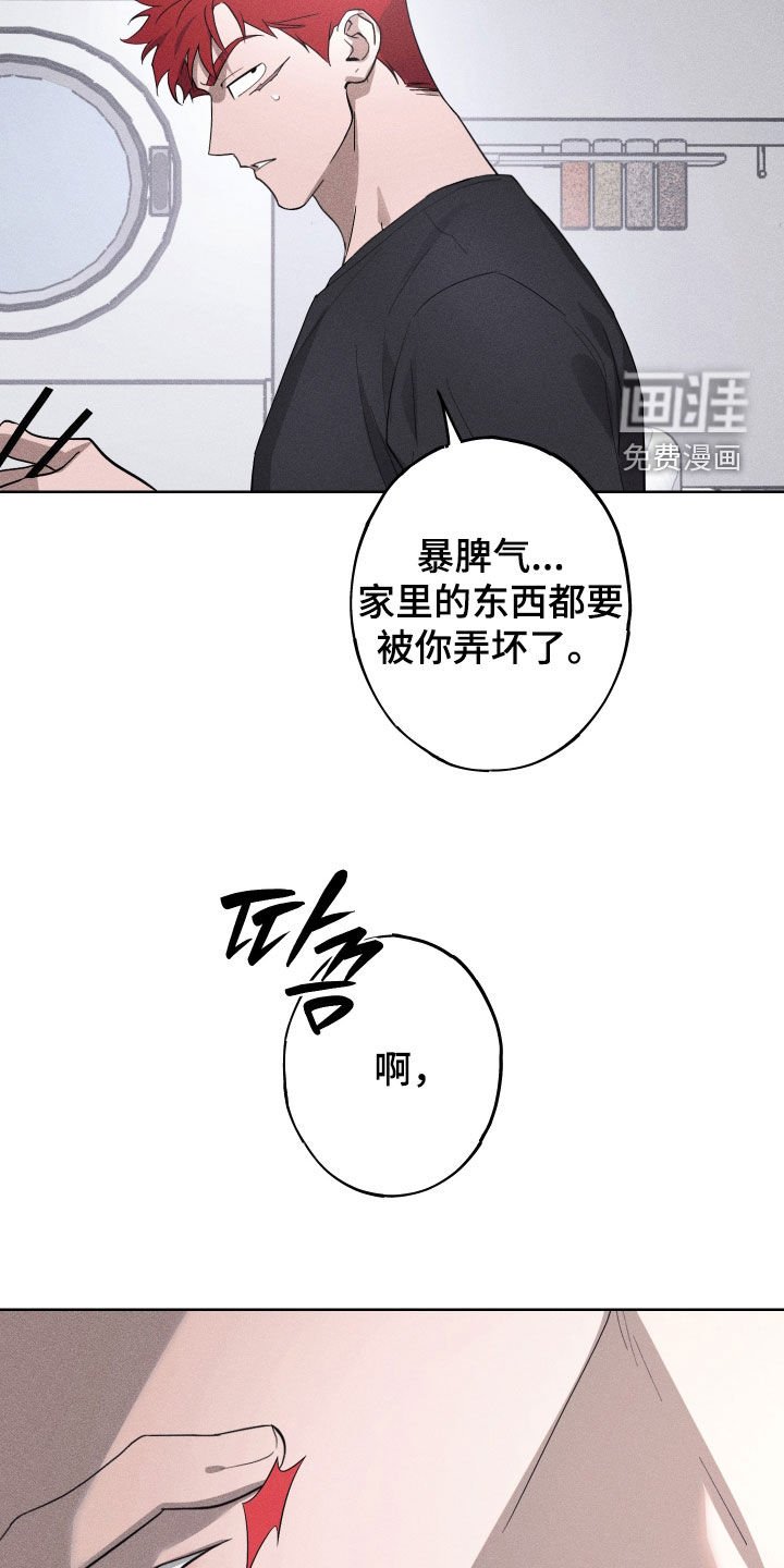 第22章：全都记得（完结）