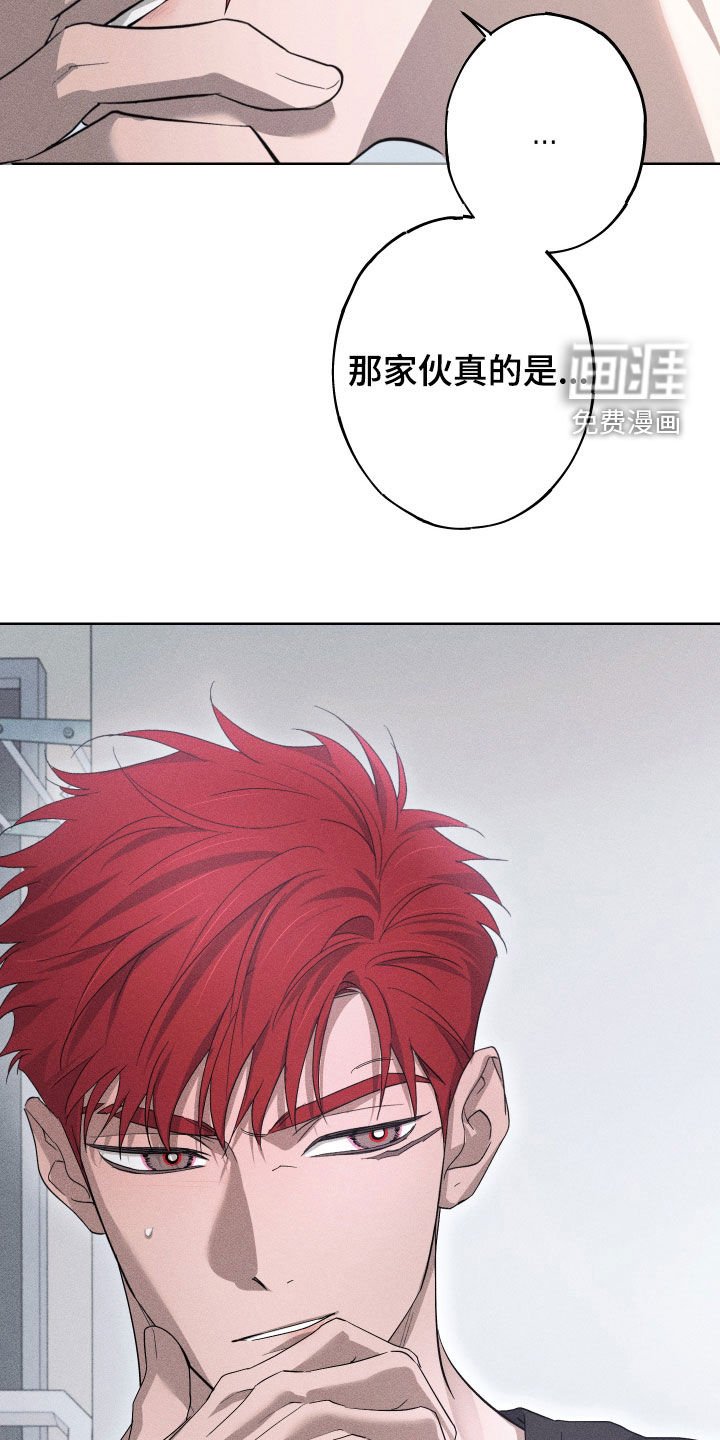 第22章：全都记得（完结）