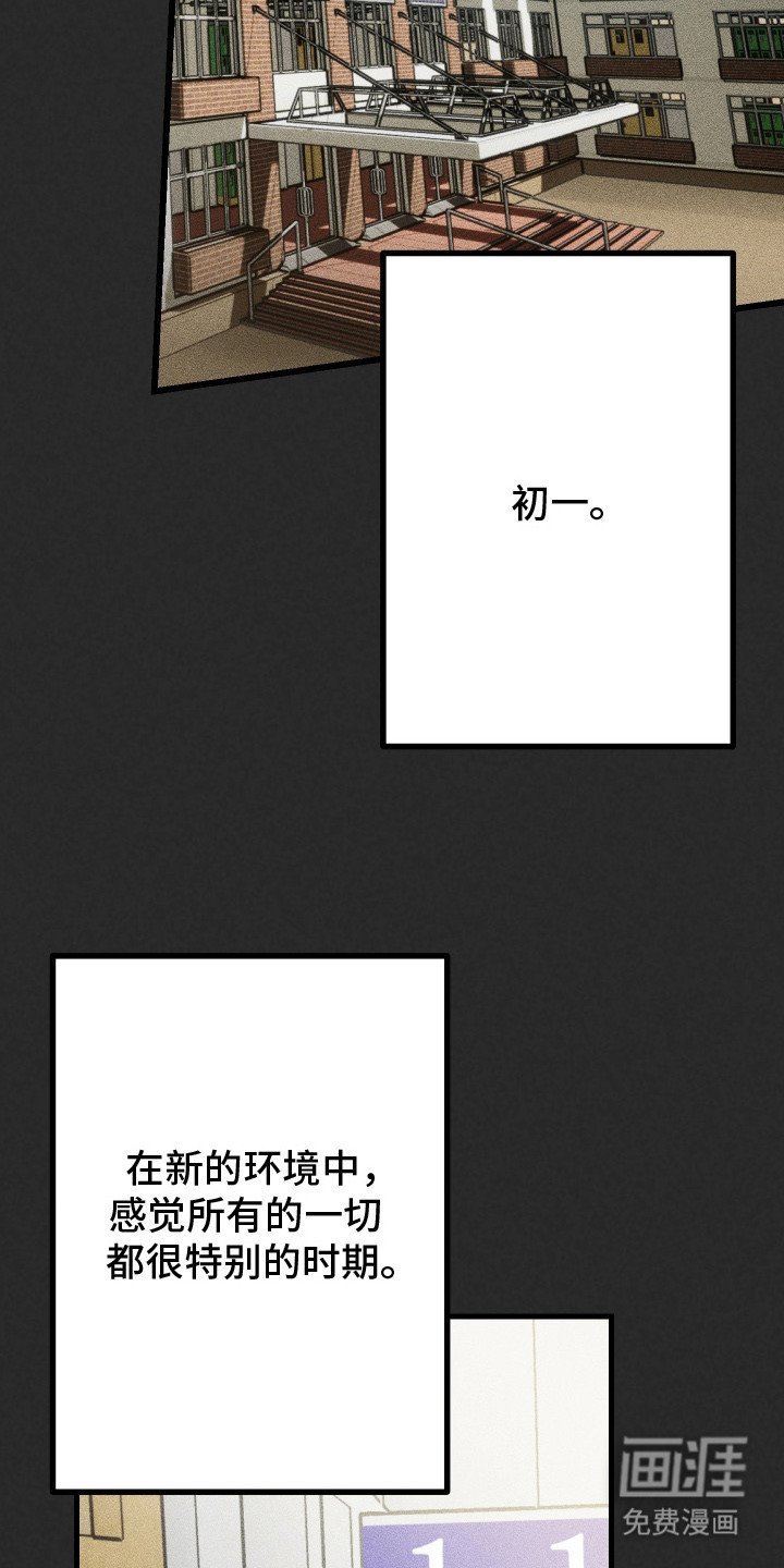 第3章：喜欢你