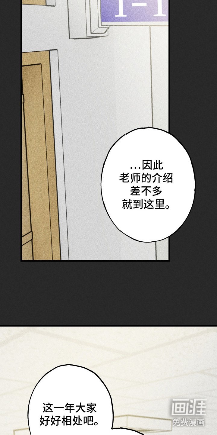第3章：喜欢你