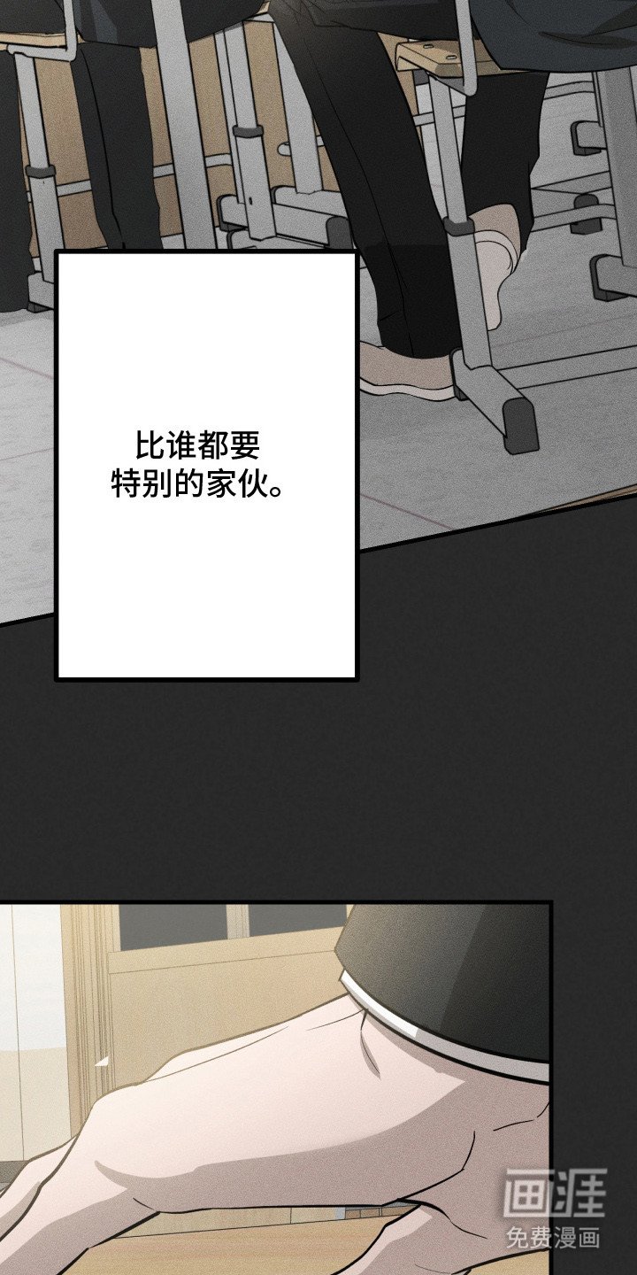 第3章：喜欢你