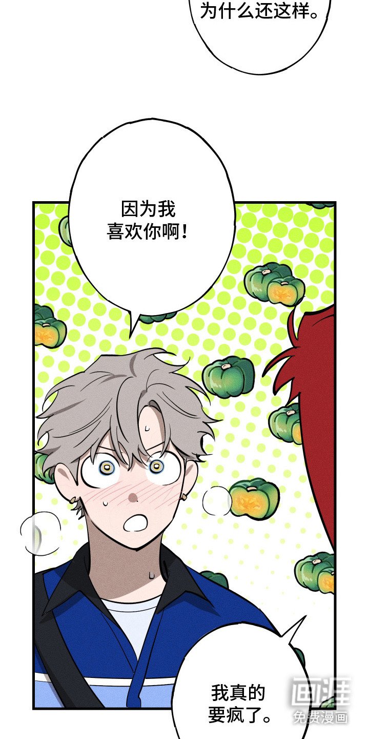 第9章：路边的石头