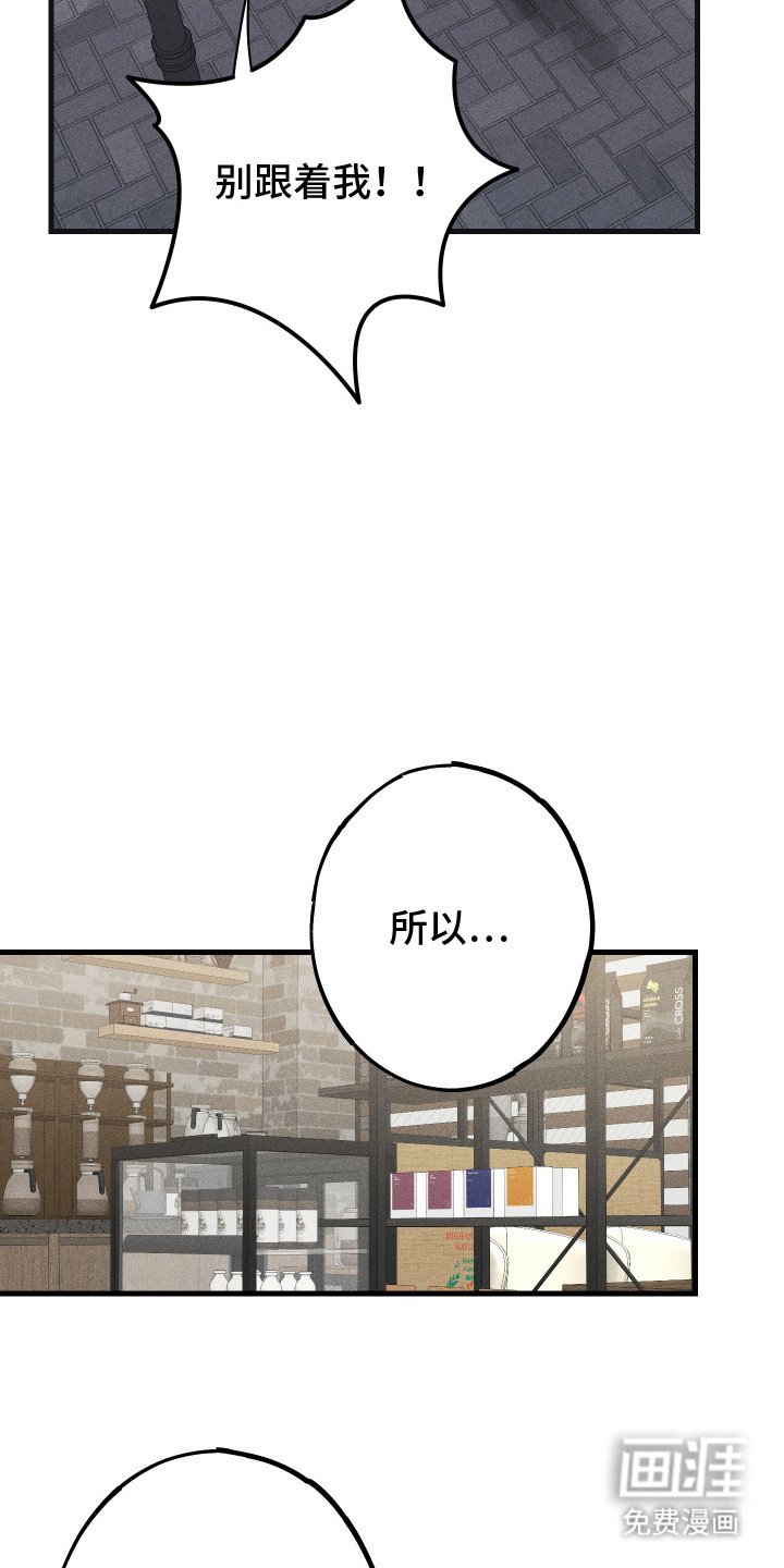 第9章：路边的石头