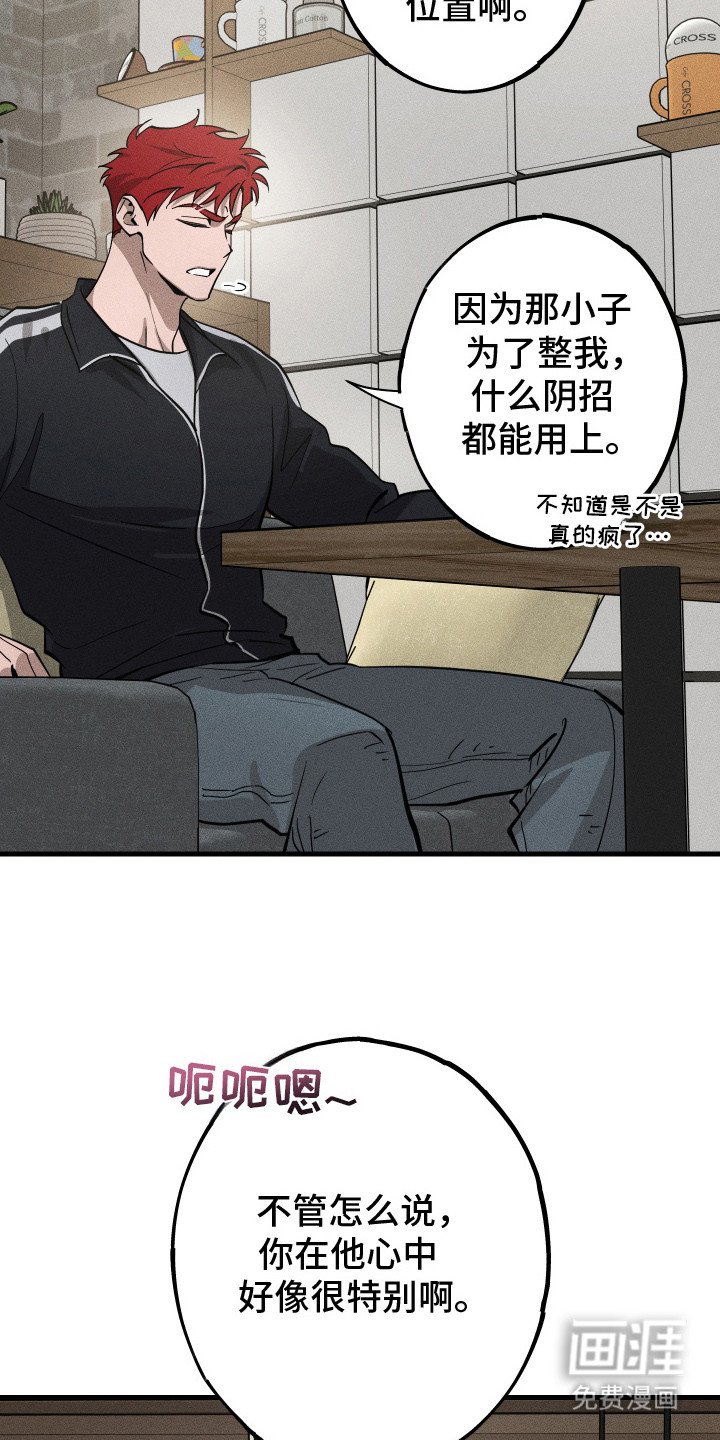 第9章：路边的石头